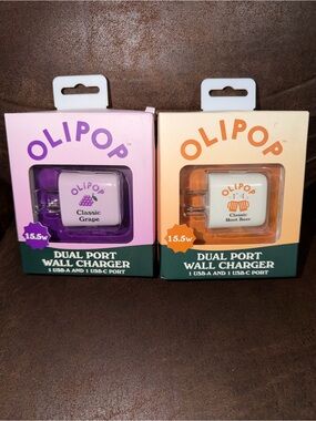 Dual Port Wall Charger — Purple and Orange